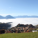 IMG_8545.jpg