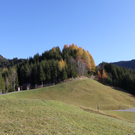 IMG_8563.jpg