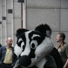 Eddie_EF17_by_yamavu.JPG