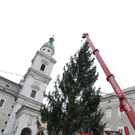 Christbaum10111102.jpg