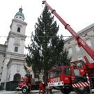 Christbaum10111103.jpg