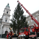 Christbaum10111104.jpg