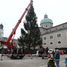 Christbaum10111105.jpg