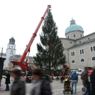 Christbaum10111106.jpg