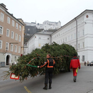 normal_10112011fmt_christbaumaufstellen_fm_02.jpg