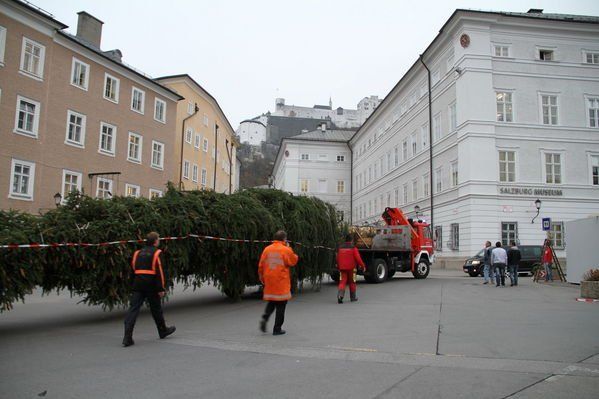 normal_10112011fmt_christbaumaufstellen_fm_03.jpg