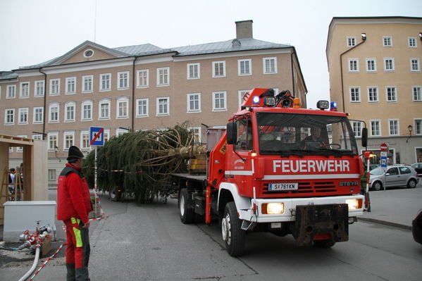 normal_10112011fmt_christbaumaufstellen_fm_04.jpg