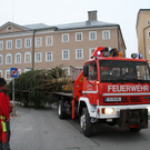 normal_10112011fmt_christbaumaufstellen_fm_04.jpg