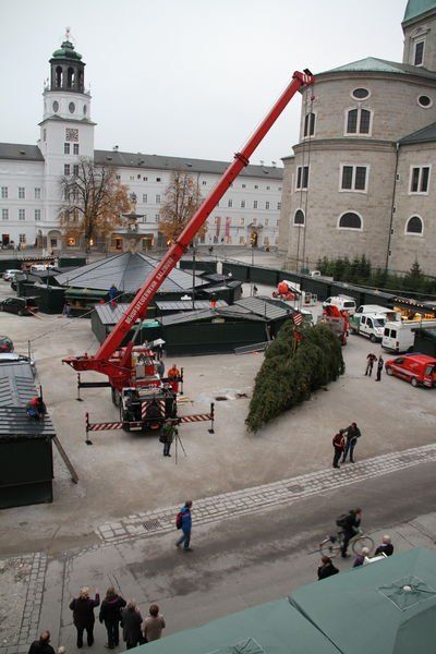 normal_10112011fmt_christbaumaufstellen_fm_15.jpg