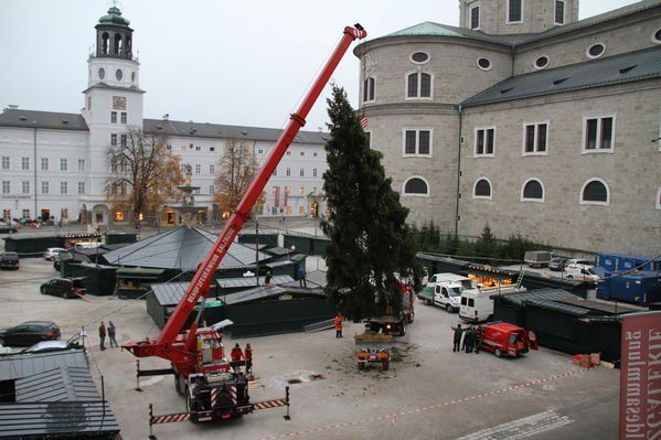 normal_10112011fmt_christbaumaufstellen_fm_17.jpg