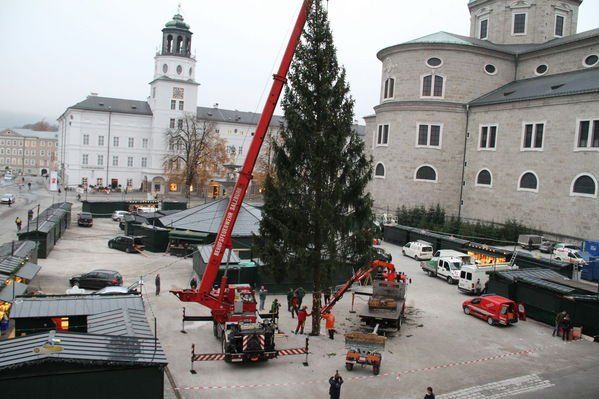 normal_10112011fmt_christbaumaufstellen_fm_21.jpg