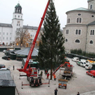 normal_10112011fmt_christbaumaufstellen_fm_21.jpg