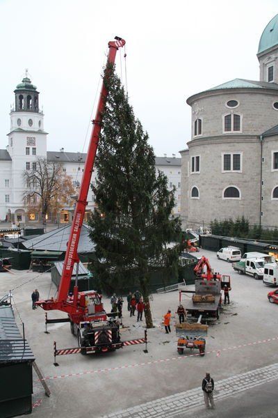 normal_10112011fmt_christbaumaufstellen_fm_24.jpg