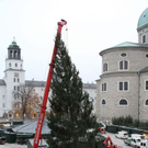 normal_10112011fmt_christbaumaufstellen_fm_24.jpg