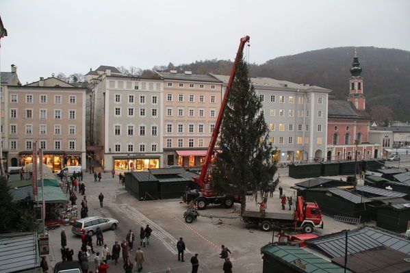 normal_10112011fmt_christbaumaufstellen_fm_25.jpg