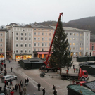 normal_10112011fmt_christbaumaufstellen_fm_25.jpg