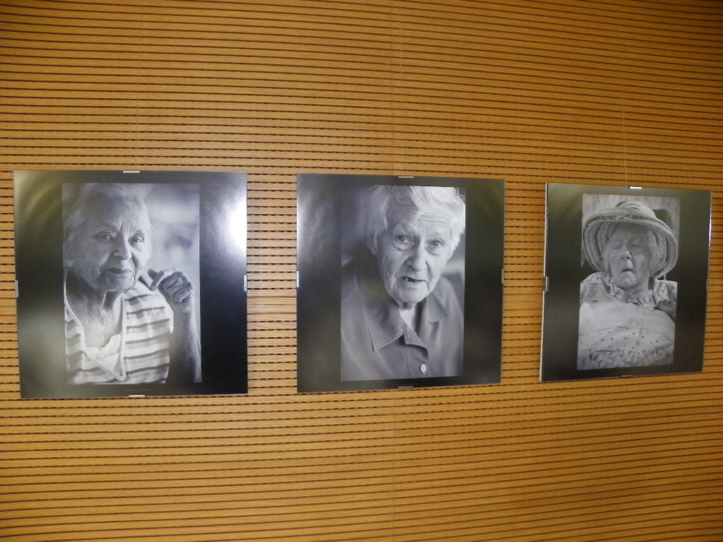 113_0661_JPG-1320967857