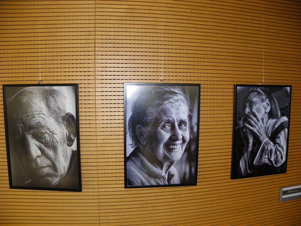 113_0649_JPG-1320968022