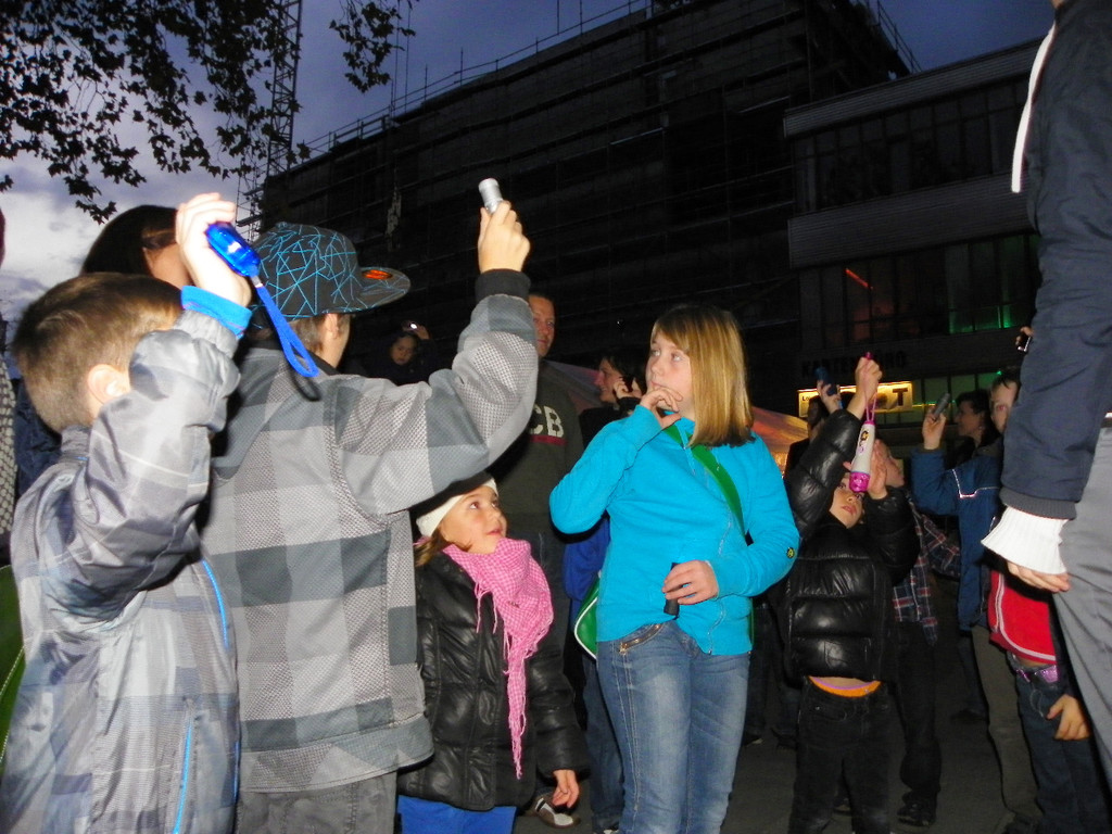 113_1113_JPG-1320969213