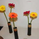 112_9231_JPG-1320971733