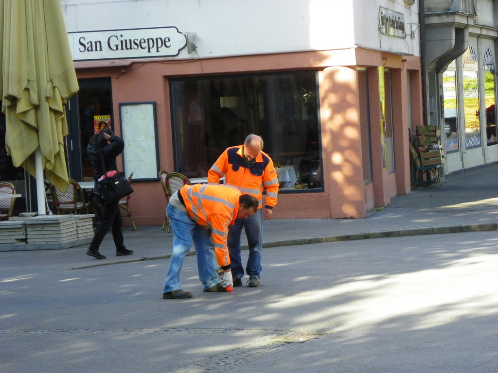 113_0736_JPG-1320973338