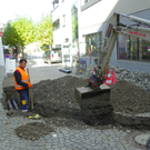 113_0751_JPG-1320973373