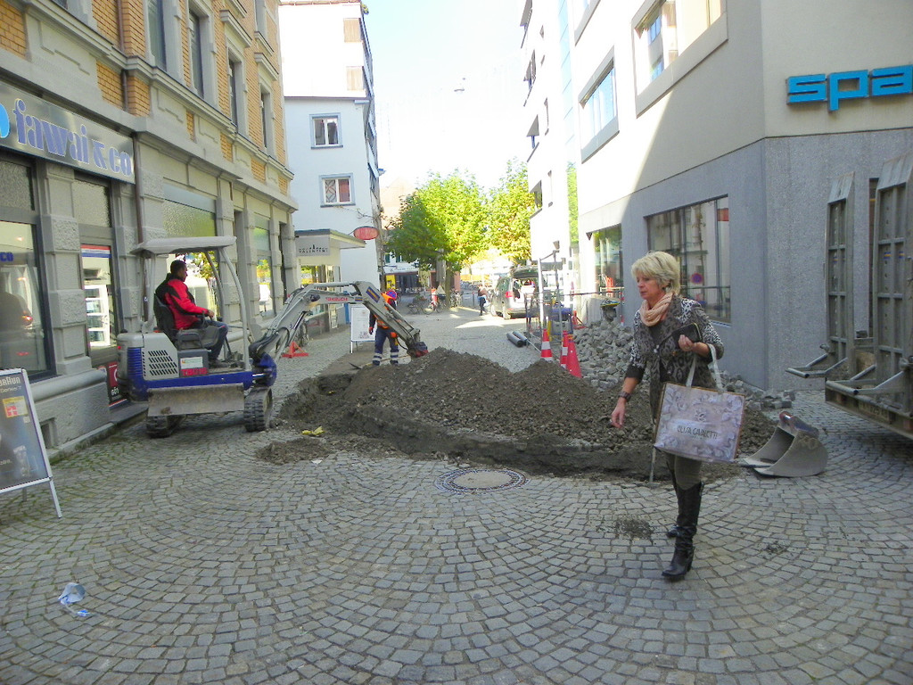 113_0761_JPG-1320973408