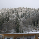 _DSC04680007_1.JPG
