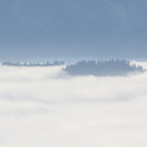 normal_11112011sonnrlaktivewns__15_.JPG