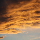 normal_11112011sonnrlaktivewns__3_.JPG