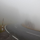 normal_11112011sonnrlaktivewns__30_.JPG