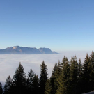 normal_11112011sonnrlaktivewns__4_.JPG