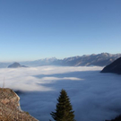 normal_11112011sonnrlaktivewns__6_.JPG