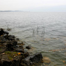 normal_11112011mondseewm2aktivnews_03.JPG