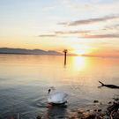 Seehotel Am Kaiserstrand Atmosphaere geniessen _15__jpg-1321091183