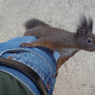 DSC07746.JPG