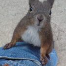 DSC07747.JPG