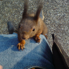 DSC07735.JPG