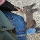 DSC07755.JPG
