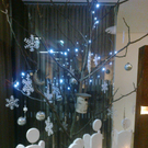 11112011316.jpg