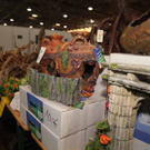 IMG_4910.jpg