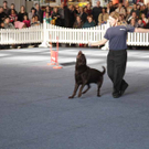IMG_4927.jpg