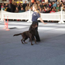IMG_4928.jpg