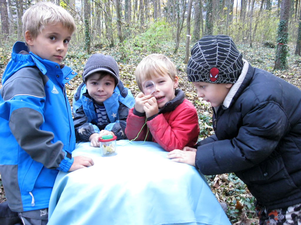 IMG_1540_JPG-1321174104