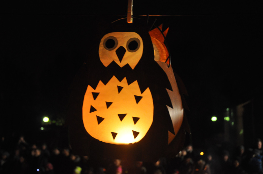 DSC_0121_JPG-1321173953