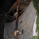 normal_121111kraenzchensfaktivnews095.JPG