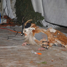 normal_121111kraenzchensfaktivnews096.JPG