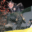 normal_121111kraenzchensfaktivnews138.JPG