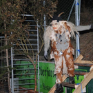 normal_121111kraenzchensfaktivnews140.JPG