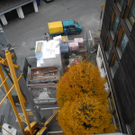 DSCN7308_JPG-1321180299